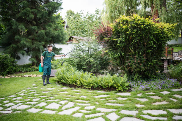 Best Affordable Pest Control Services  in Lanse, MI