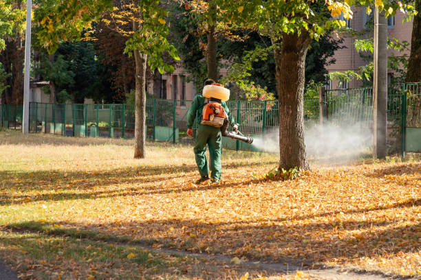 Bird Control in Lanse, MI