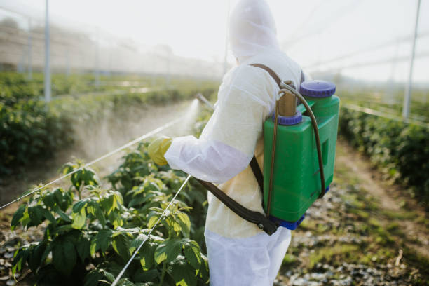 Best Flea Control Services  in Lanse, MI